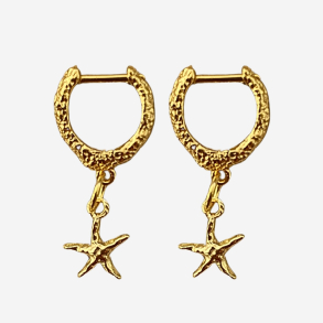 S�stjerne �reringe - Guldbelagt